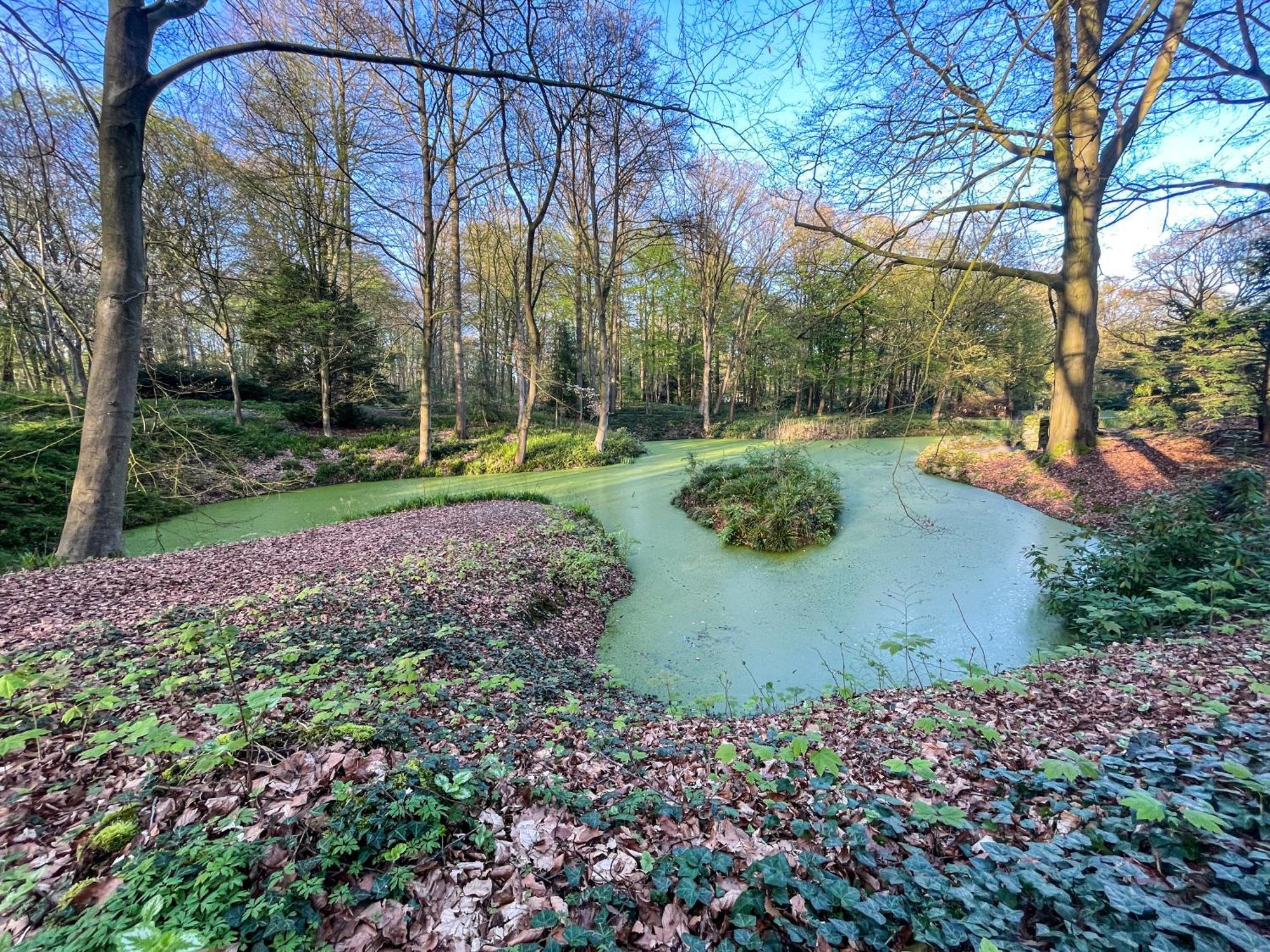 Landhaus Beim Knoops Park Brema Zewnętrze zdjęcie