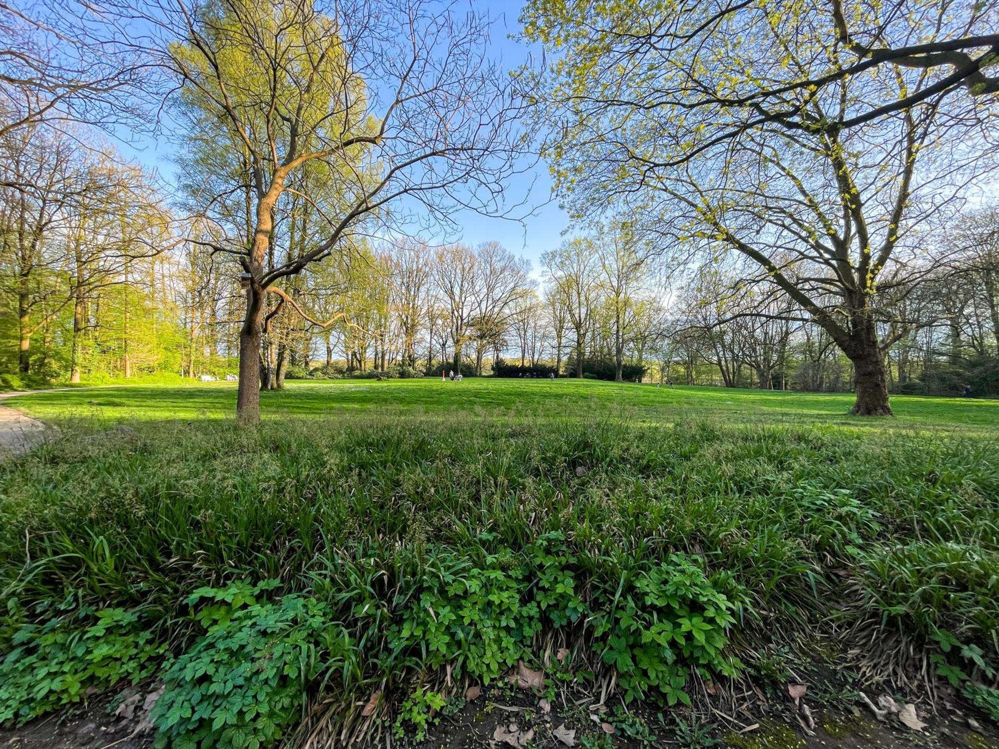 Landhaus Beim Knoops Park Brema Zewnętrze zdjęcie