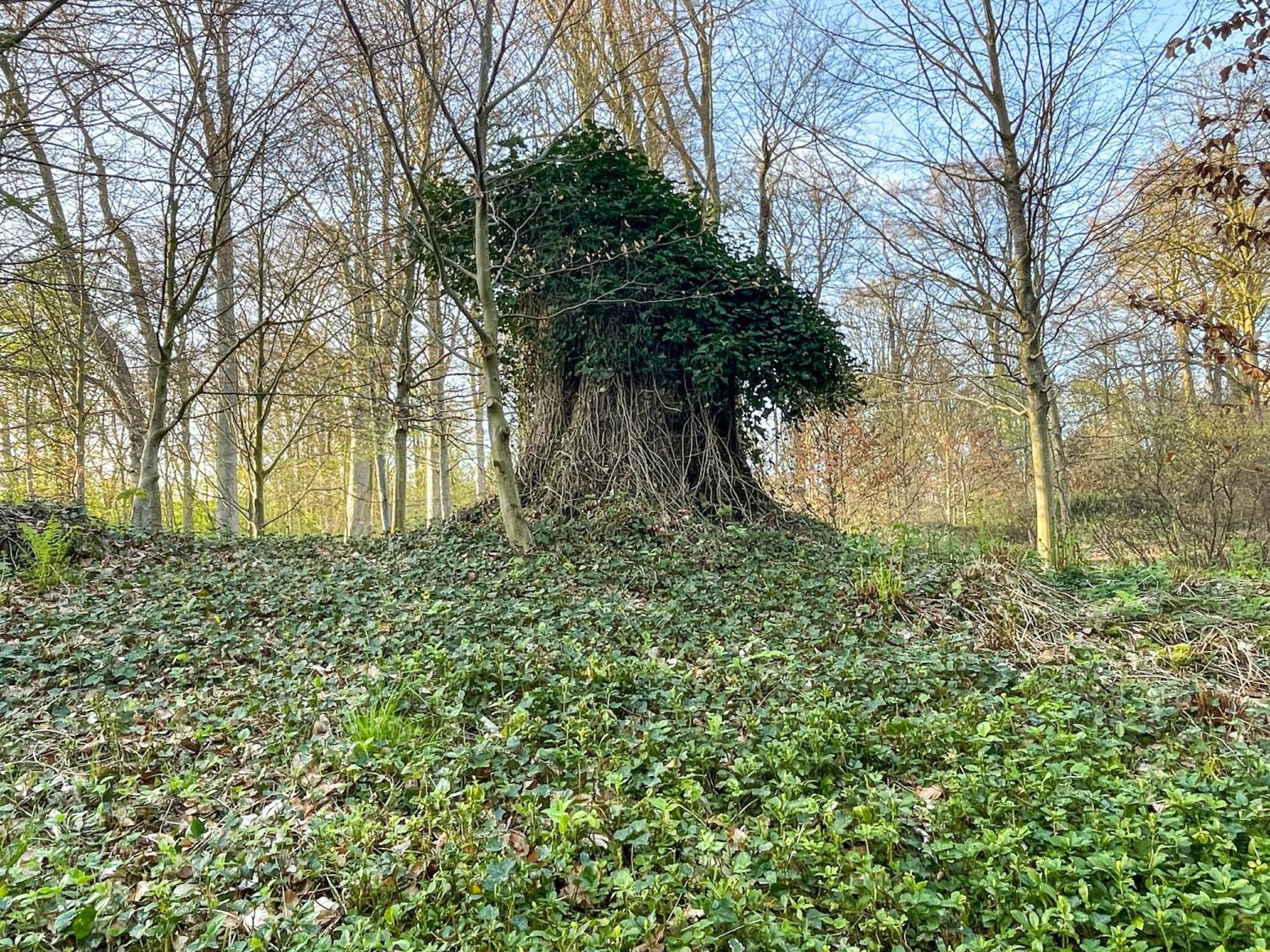 Landhaus Beim Knoops Park Brema Zewnętrze zdjęcie